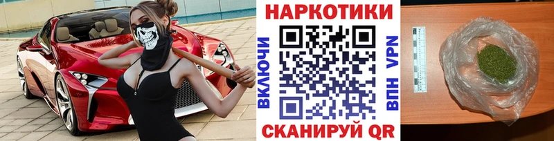 Альфа ПВП Ачхой-Мартан