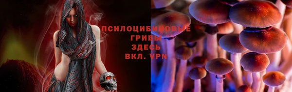 a pvp Белоозёрский