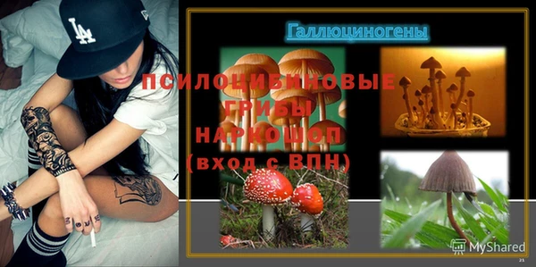 ALPHA PVP Белокуриха