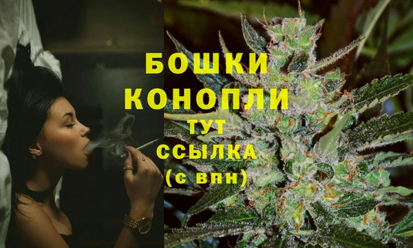 ALPHA PVP Белокуриха