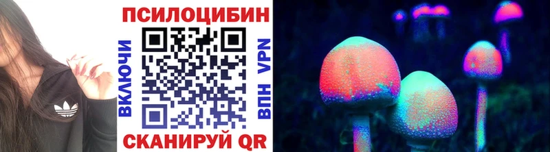 Псилоцибиновые грибы мицелий маркетплейс наркотические препараты Ачхой-Мартан