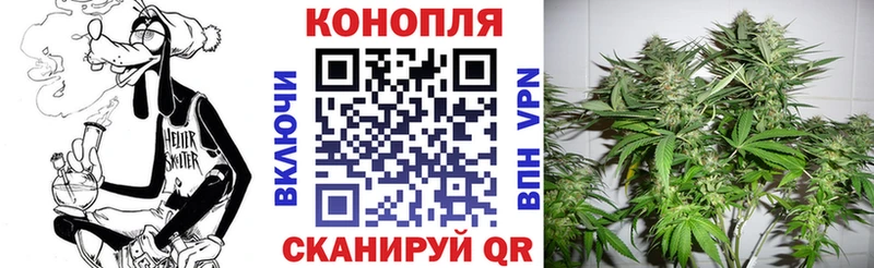 Марихуана Bruce Banner  Ачхой-Мартан 